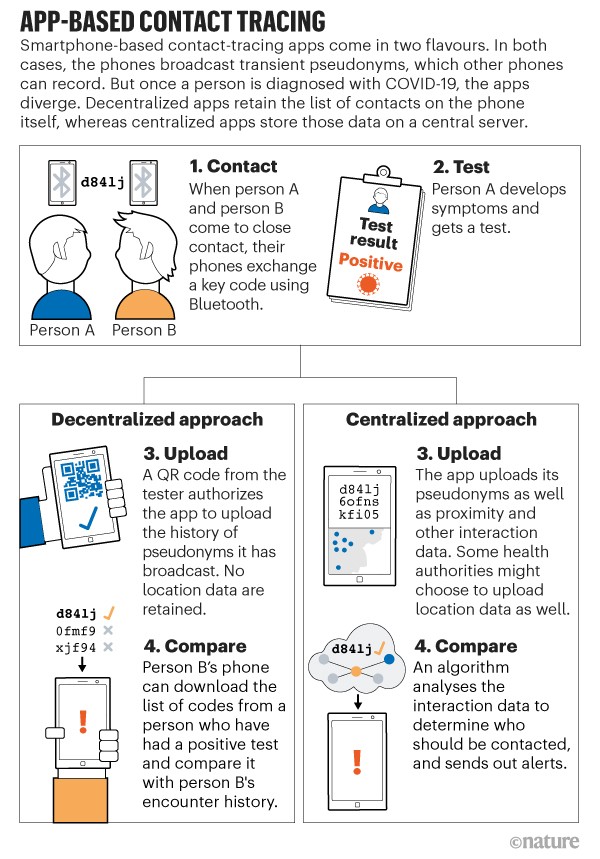 An infographic from BBC explaining the difference between centralised and decentralised apps